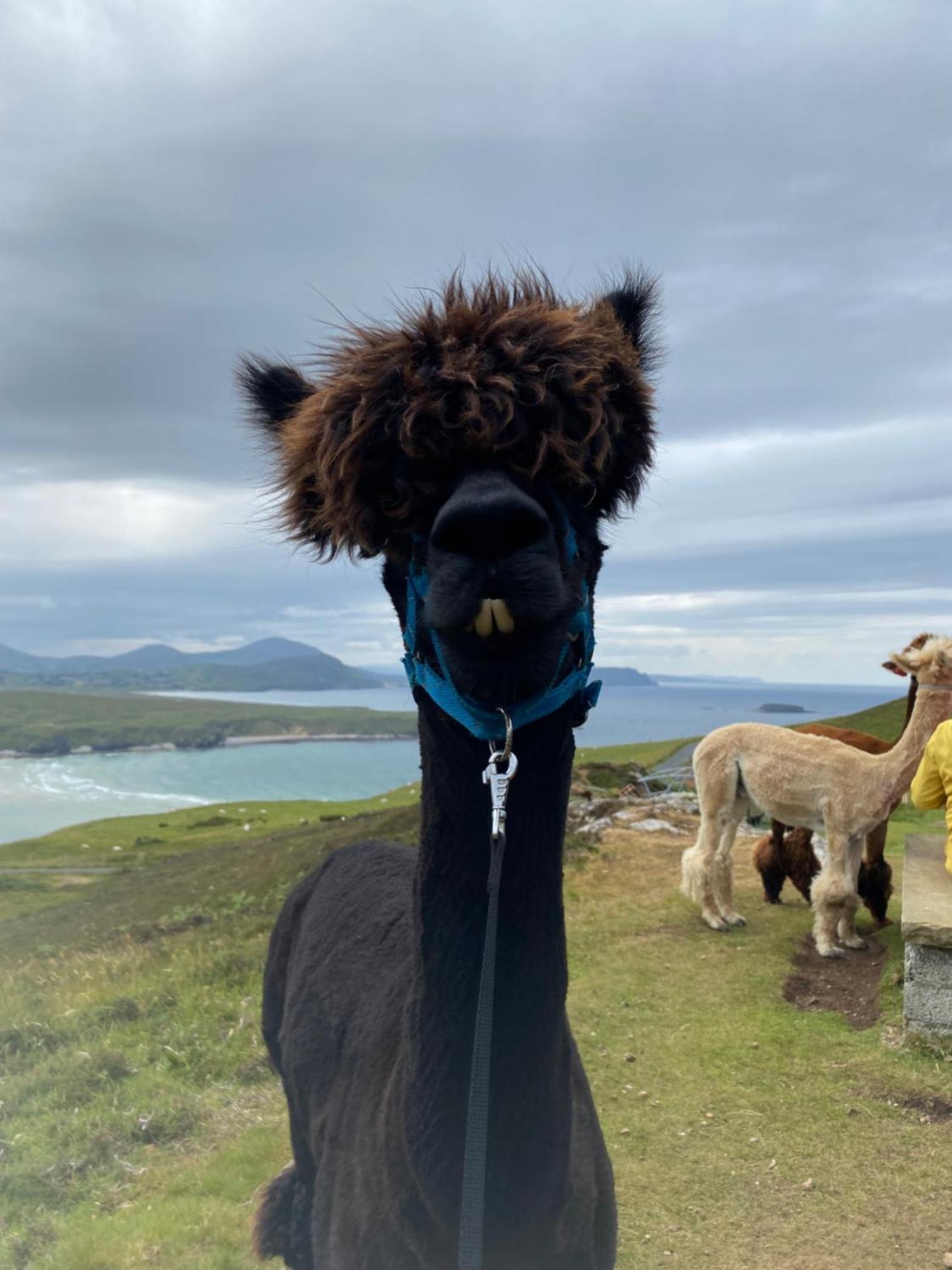 With Stunning Views * Ballyliffin
